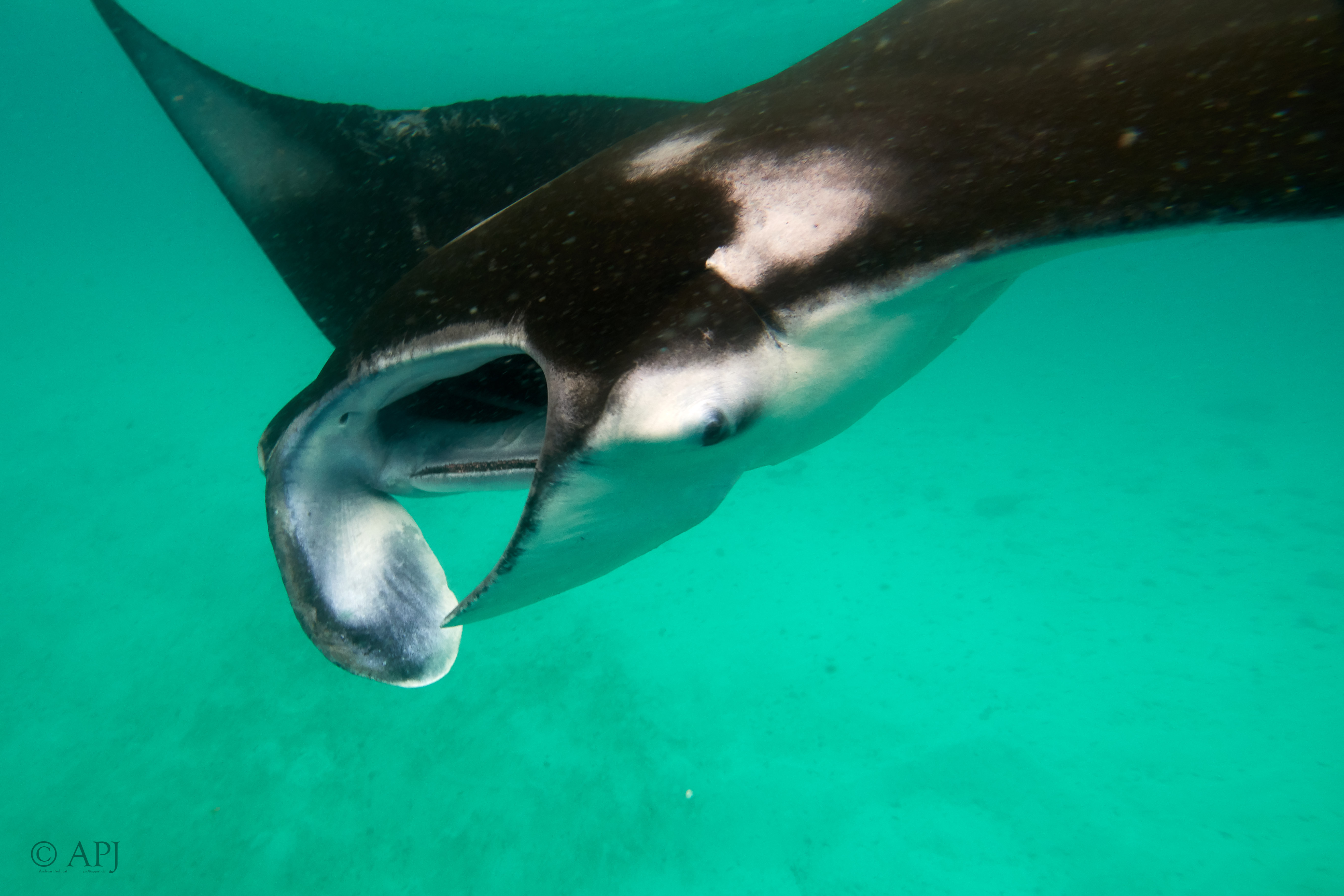 002440 17 08 17  Canon PowerShot G7 X Mark II   Malediven2017